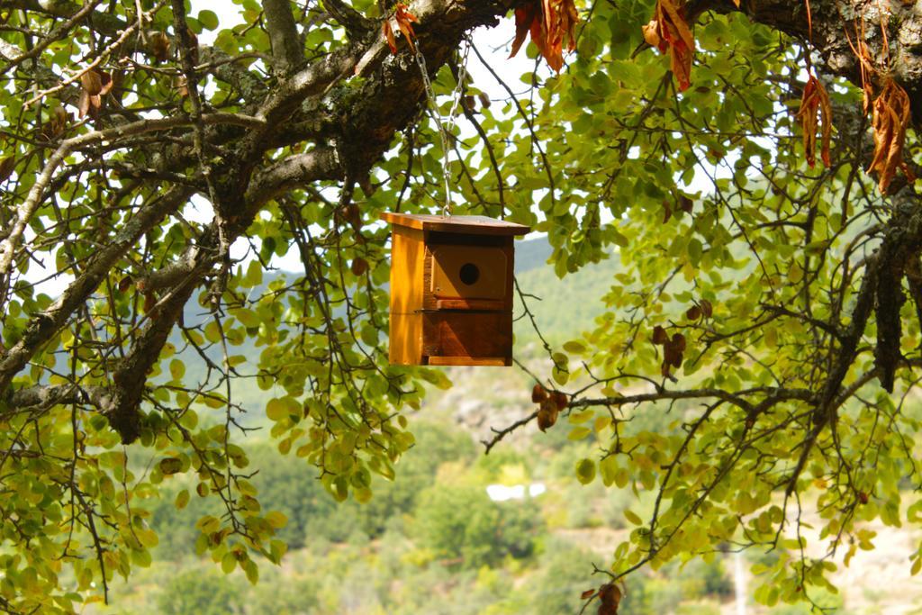 Albergue Turistico Via De La Plata Banos De Montemayor Εξωτερικό φωτογραφία